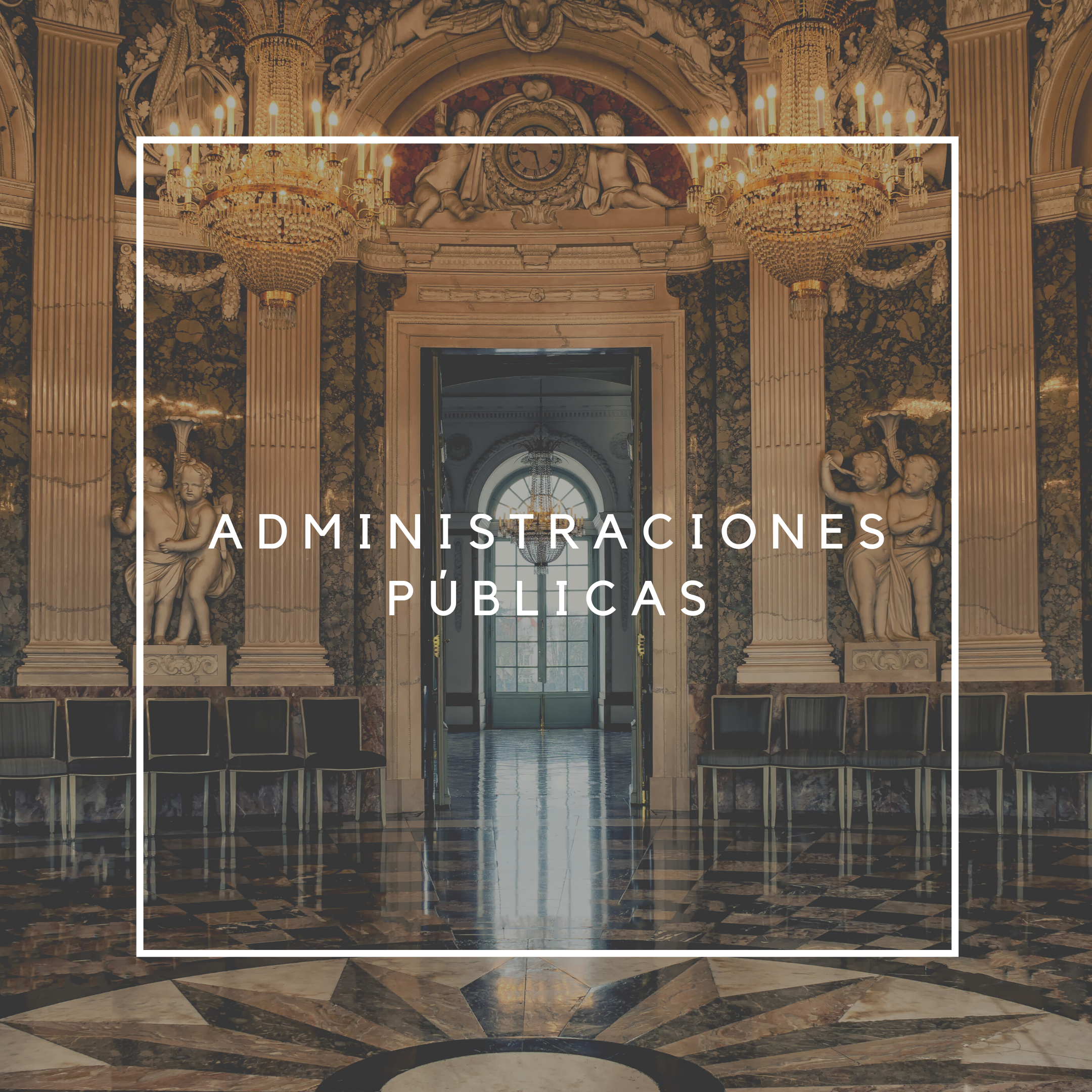 asesoria administracion publica